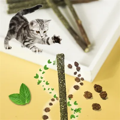 FurryFusion Barres de grignotage à la menthe pour chats