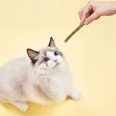 FurryFusion Barres de grignotage à la menthe pour chats