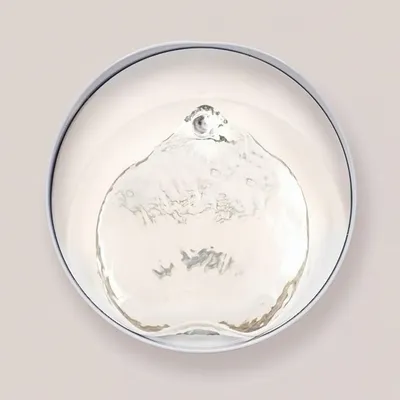 Pixi - Fontaine à eau pour chat - 2,5 L