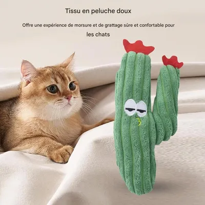 FurryFusion Jouet de peluche cactus pour chat