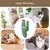 FurryFusion Jouet de peluche cactus pour chat