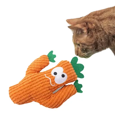 FurryFusion Jouet de peluche cactus pour chat