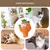 FurryFusion Jouet de peluche cactus pour chat