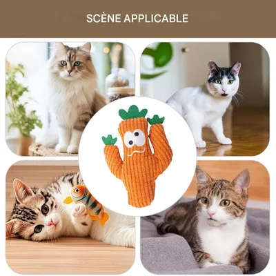 FurryFusion Jouet de peluche cactus pour chat