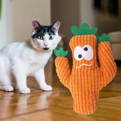 FurryFusion Jouet de peluche cactus pour chat