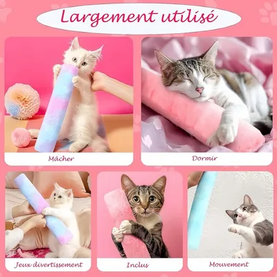 FurryFusion Coussin jouet à l'herbe à chat