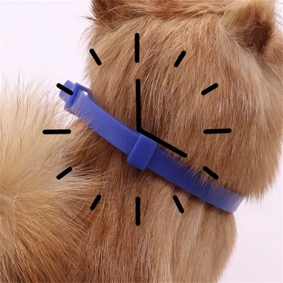 FurryFusion Collar antipulgas y antigarrapatas