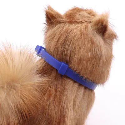 FurryFusion Collier antiparasitaire