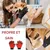 FurryFusion Gants de toilette pour chien et chat