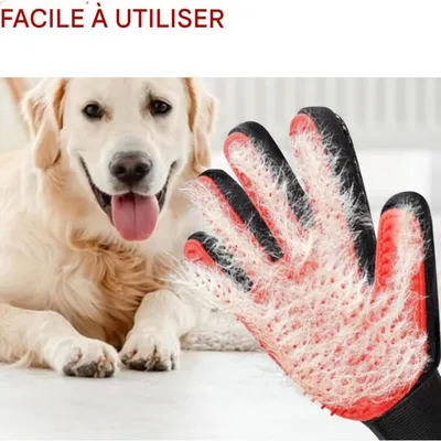 FurryFusion Gants de toilette pour chien et chat