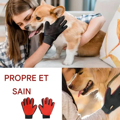 FurryFusion Gants de toilette pour chien et chat