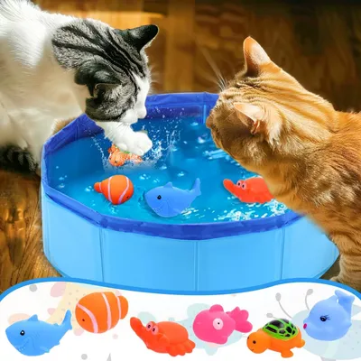UAMLY Jouet de piscine pliable pour chat