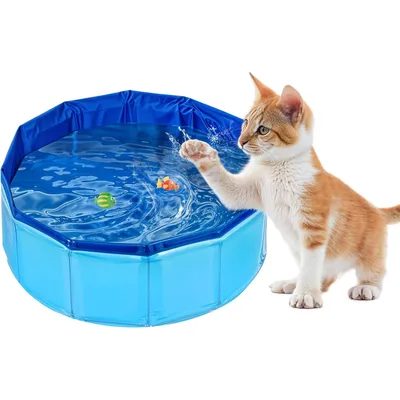 UAMLY Jouet de piscine pliable pour chat