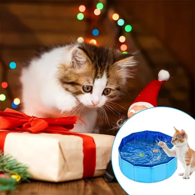 UAMLY Jouet de piscine pliable pour chat UAMLY Jouet de piscine pliable pour chat