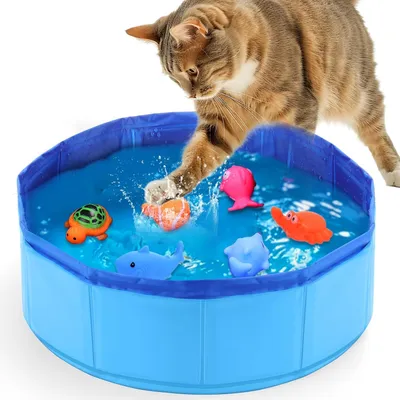UAMLY Jouet de piscine pliable pour chat