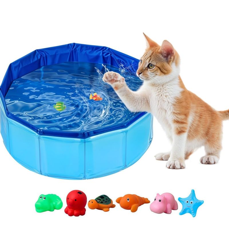 UAMLY Jouet de piscine pliable pour chat