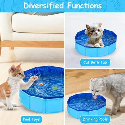 UAMLY Jouet de piscine pliable pour chat UAMLY Jouet de piscine pliable pour chat