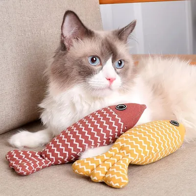 UAMLY Jouet pour chat en forme de poisson