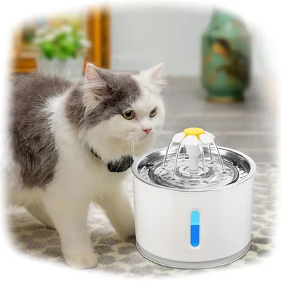 UAMLY Fontaine à chat fontaine à boire