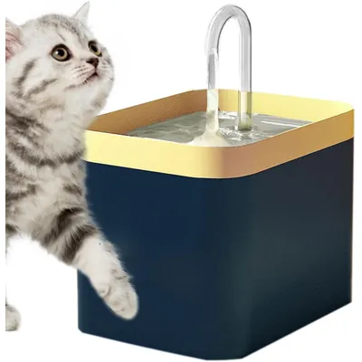 UAMLY Fontaine à eau pour chat