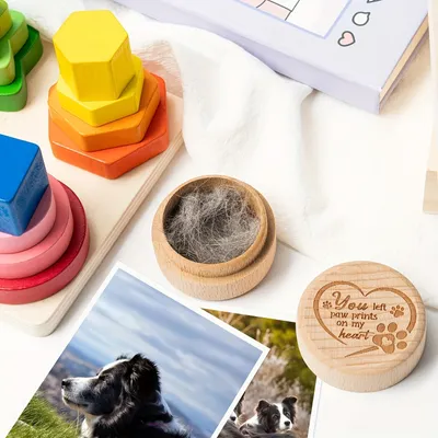 UAMLY Boîte souvenir commémorative pour animaux de compagnie