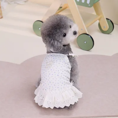 UAMLY Spitzenkleid für Hunde