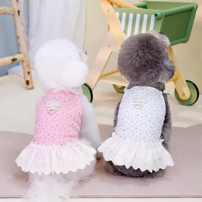 UAMLY Spitzenkleid für Hunde UAMLY Spitzenkleid für Hunde