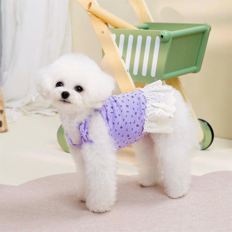 UAMLY Vêtement été robe pour chien