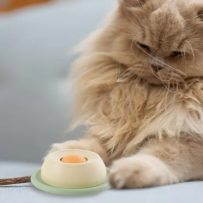 UAMLY Jouet pour chat Slow Food