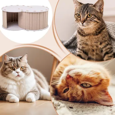 UAMLY Lit pour chat à double trou