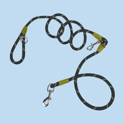 UAMLY Laisse pour mains libres réfléchissantes pour chien