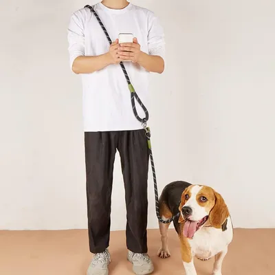 UAMLY Laisse pour mains libres réfléchissantes pour chien