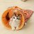 UAMLY Jouet tunnel pour chat