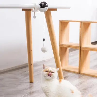 FurryFusion Jouet électrique avec balle de levage pour chats