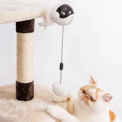FurryFusion Jouet électrique avec balle de levage pour chats