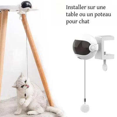 FurryFusion Jouet électrique avec balle de levage pour chats