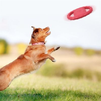 FurryFusion Disque volant pour chien
