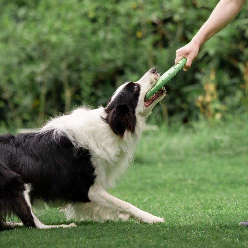 FurryFusion Disque volant pour chien