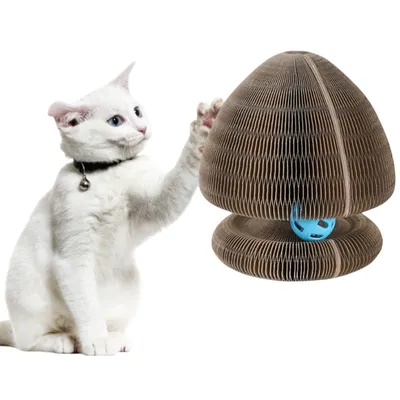 FurryFusion Planche à gratter déformable pour chat