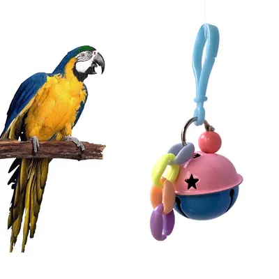 FurryFusion Cloche accessoire pour cage à oiseaux