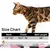 UAMLY Ensemble Harnais et Laisse pour Chat UAMLY Ensemble Harnais et Laisse pour Chat