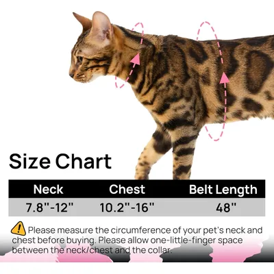 UAMLY Ensemble Harnais et Laisse pour Chat UAMLY Ensemble Harnais et Laisse pour Chat