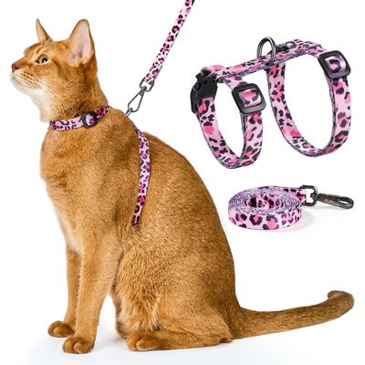 UAMLY Ensemble Harnais et Laisse pour Chat