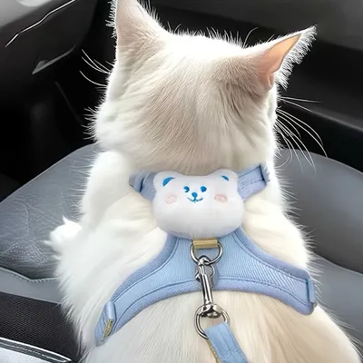 UAMLY Laisse pour chat UAMLY Laisse pour chat