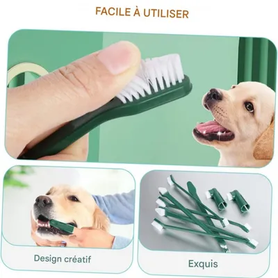 FurryFusion Kit de brosse à dents pour chien