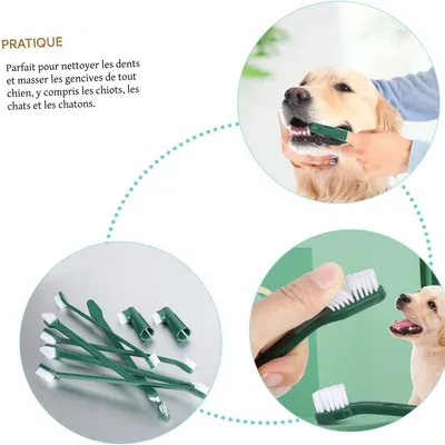 FurryFusion Kit de brosse à dents pour chien
