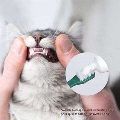 FurryFusion Kit de brosse à dents pour chien