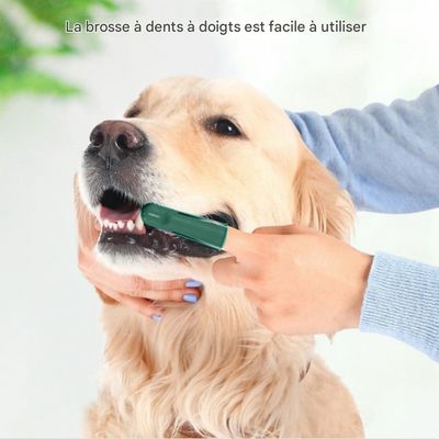 FurryFusion Kit de brosse à dents pour chien