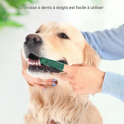 FurryFusion Kit de brosse à dents pour chien