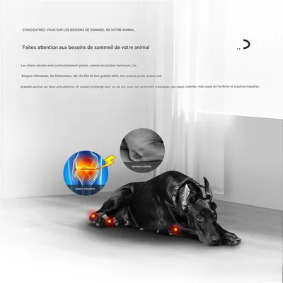 IntiMeg Canapé pour chien en mousse mémoire